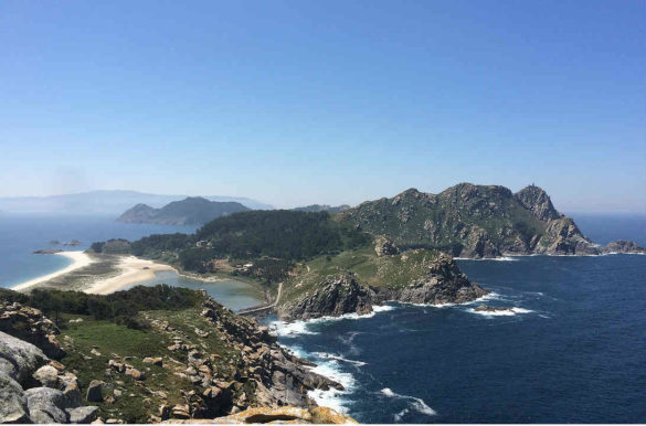 Foto: Ricardo Paredes/Pixabay