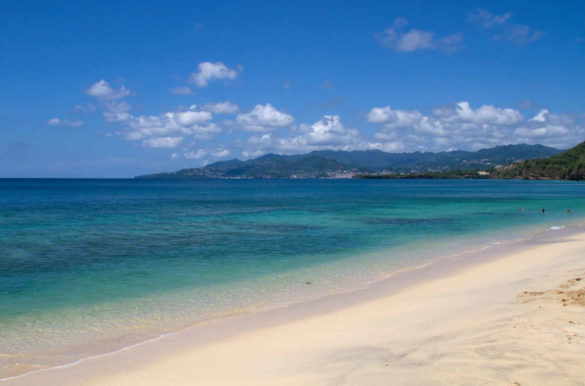 Foto: Tony Hisgett/Flickr