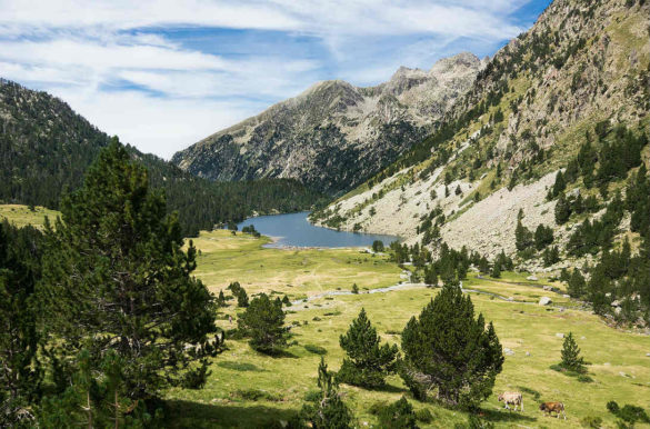 Foto: Matías Ramon Sanchez/Pixabay