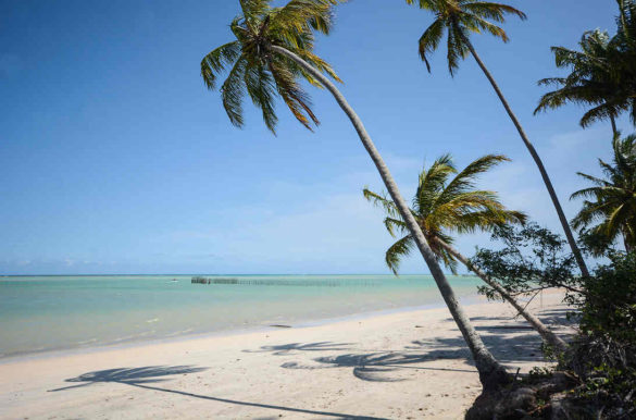 Foto: Marco Ankosqui/MTur