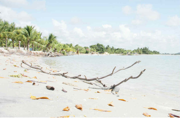 Foto: Walber Moura/MTur