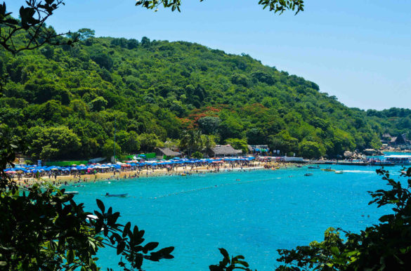 Foto: Darvin Santos/Pixabay