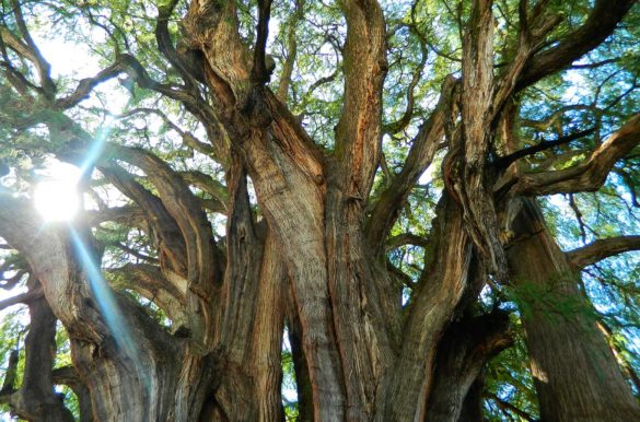 Foto: Ticiana Giehl/Escolha Viajar