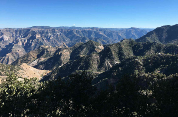 Foto: Martin Ehrensvard/Flickr