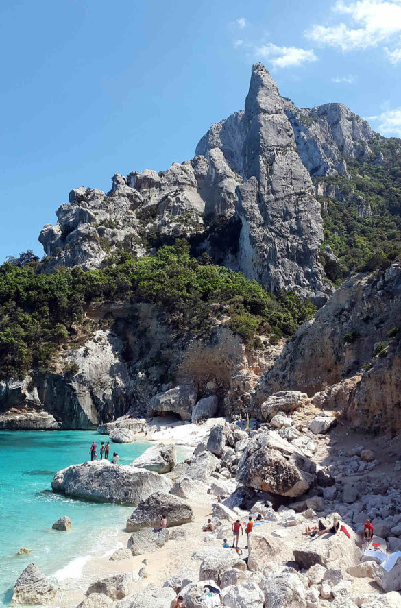 Foto: Simon Steinberger/Pixabay