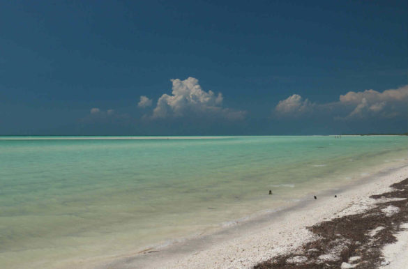 Foto: Moniek van Rijbroek/Flickr