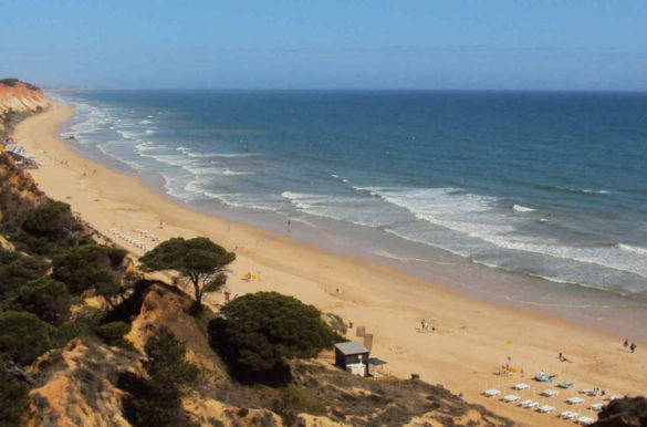 Foto: Pascal Pizzol/Flickr