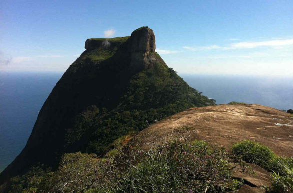 Foto: Christian Taguchi/Pixabay