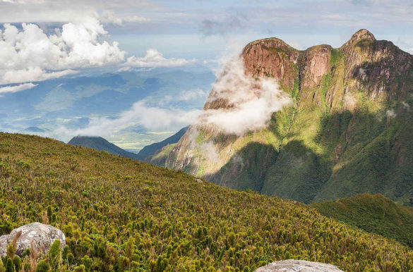 Foto: Rubens Nemitz/Wikimedia Commons