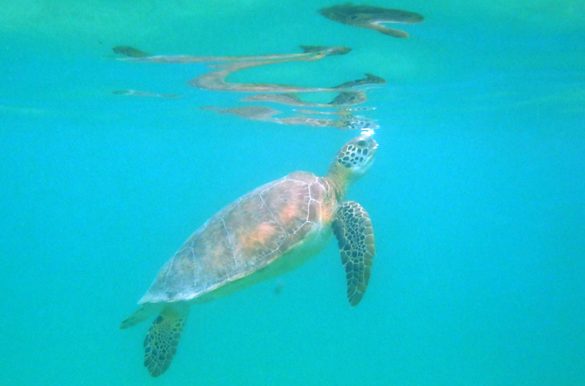 Foto: Ticiana Giehl/Escolha Viajar