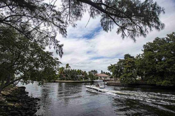 Foto: Rolando Otero/Pixabay