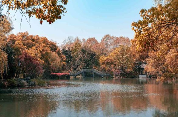 Foto: Ma Chuanyu/Pixabay