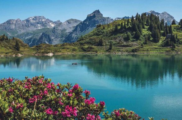 Foto: Susanne Jutzeler/Pixabay