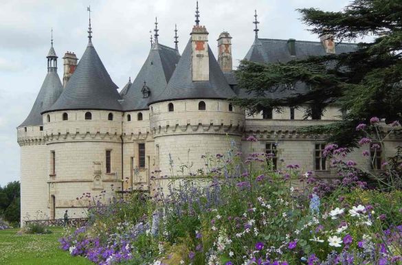 Foto: Aga Marchewka/Pixabay