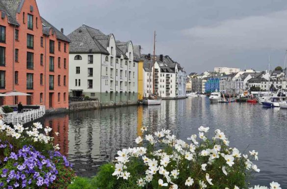 Foto: bhart9070/Pixabay