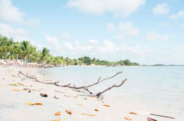 Foto: Walber Moura/Mtur