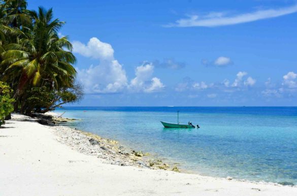 Foto: Mohamed Nazeef/Pixabay