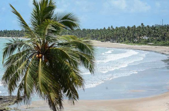 Foto: Marco Ankosqui/MTur