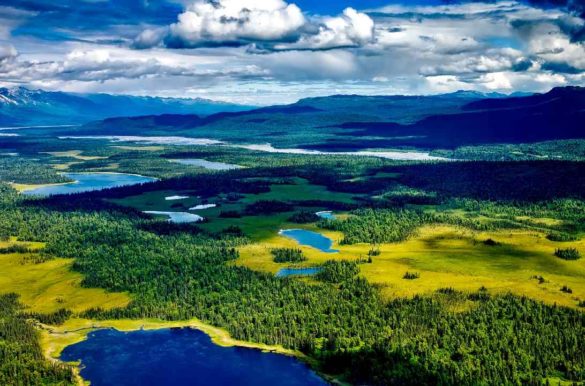 Foto: David Mark/Pixabay