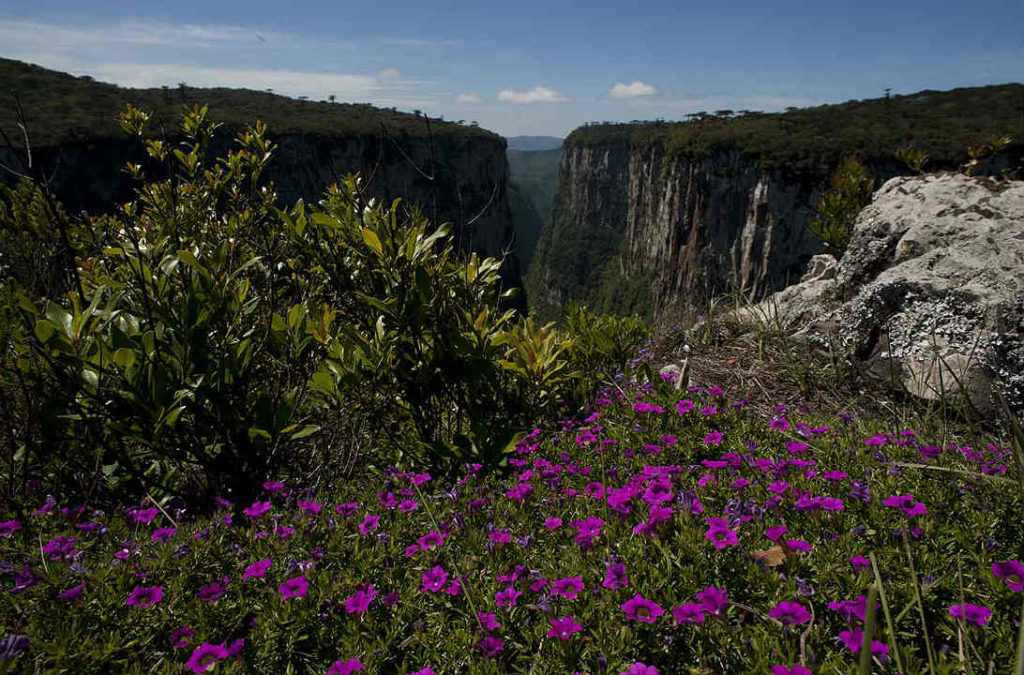 Foto: Renato Soares/MTur