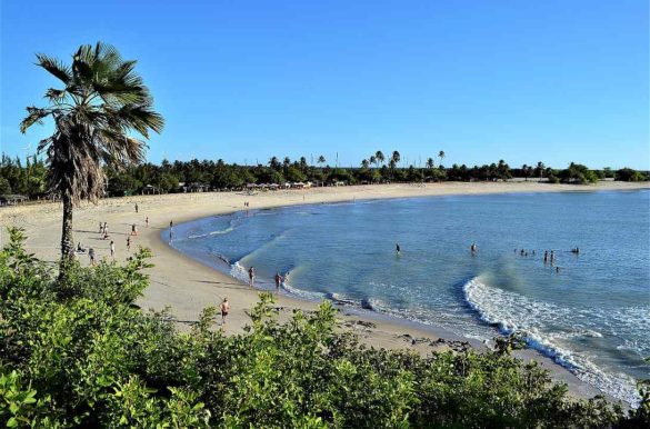 Foto: Patricialaraia/Wikimedia Commons