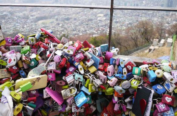 Foto: ji won choi/Pixabay