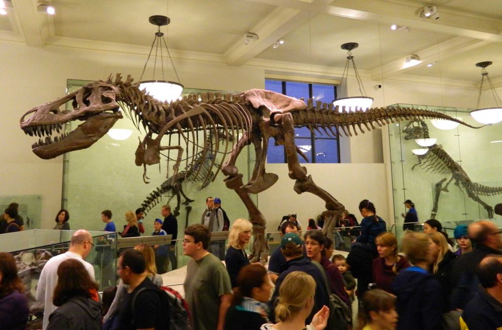 Esqueleto de tiranossauro rex é cercado por visitantes no Museu de História Natural de Nova York