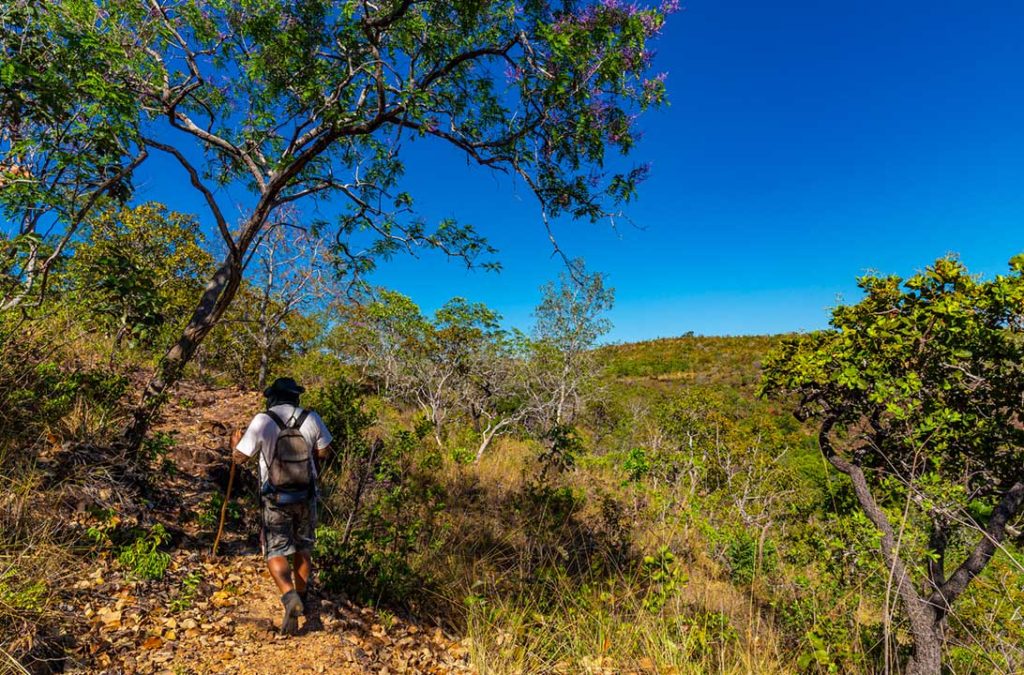 Guia leva turistas pelo trekking do Mirante da Chapada das Mesas