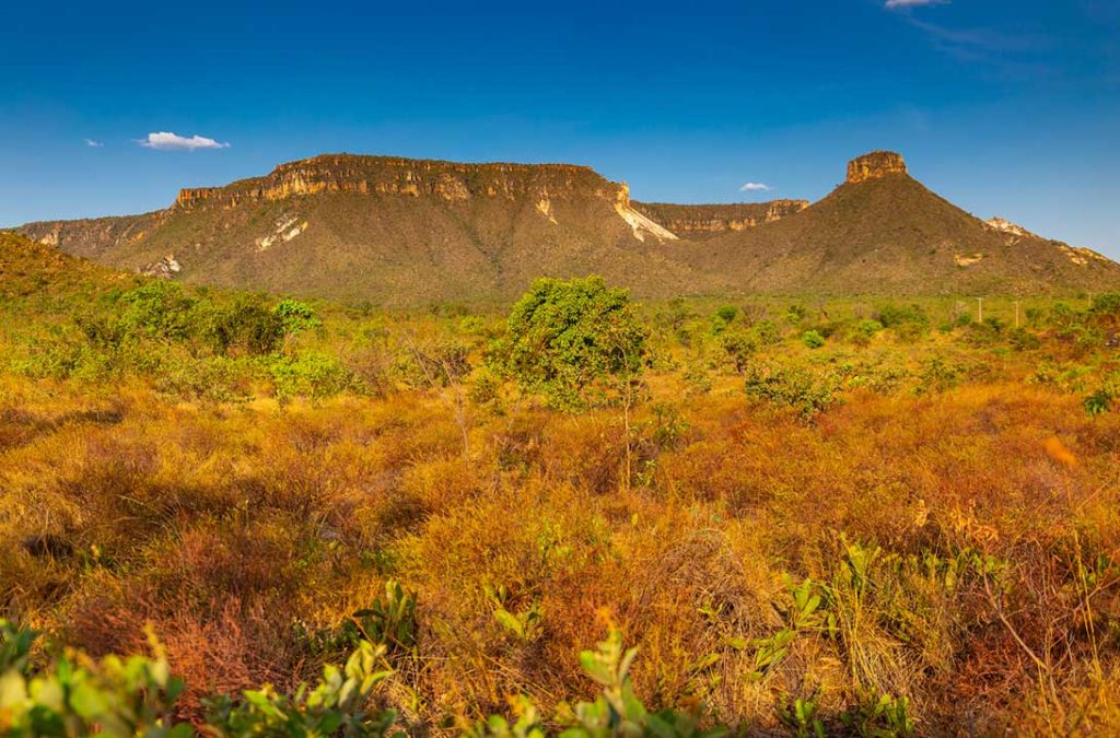 Paisagem do cerrado no Parque Estadual do Jalapão, no Tocantins