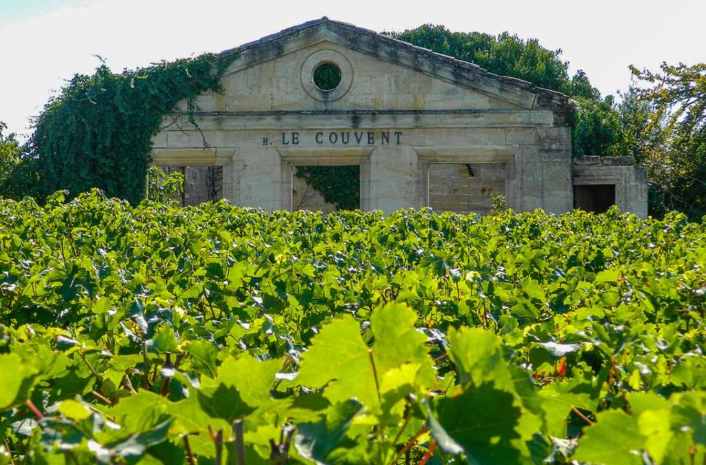 Ruínas do Couvent des Ursulines em meio aos parreirais de Saint-Émillion