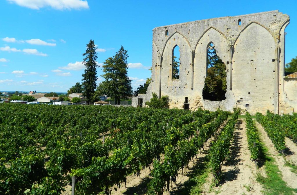 Vinhedos encontram as antigas muralhas do vilarejo medieval de Saint-Émilion