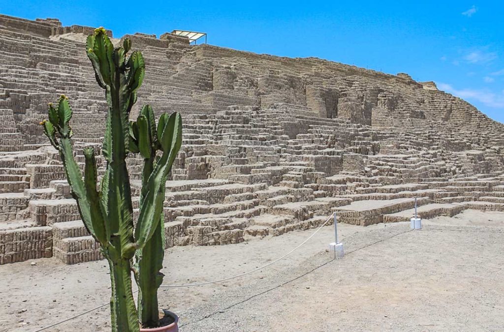 Cacto em frente à pirâmide de adobe da Huaca Pucllana, em Lima