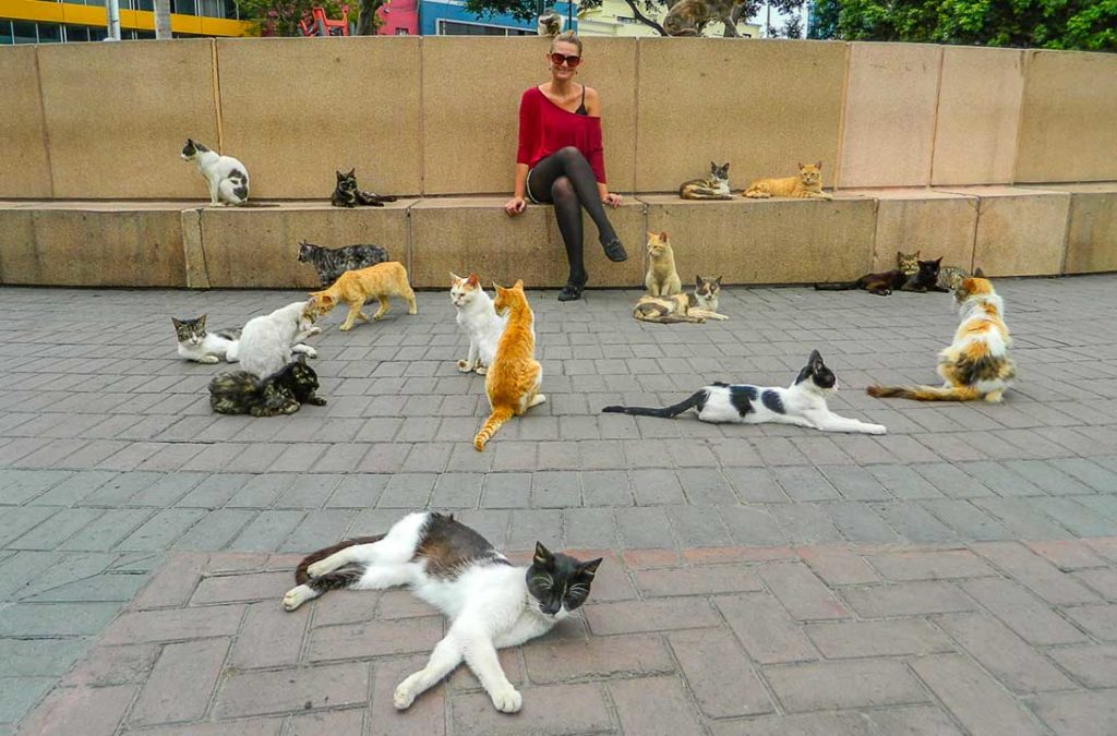 Mulher posa para fotos com os gatos do Parque Kennedy, em Miraflores