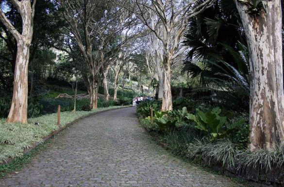 Foto: Halley Pacheco/Wikimedia Commons