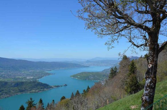 Foto: JackieLou/Pixabay