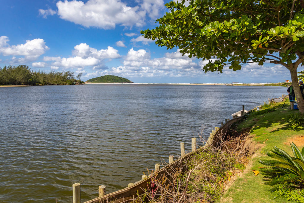 Árvore às margens da Lagoa de Ibiraquera, em Imbituba