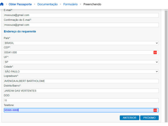 Tela mostra como preencher o formulário online para solicitar passaporte